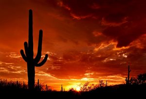 Tucson Homes for Sale sunset